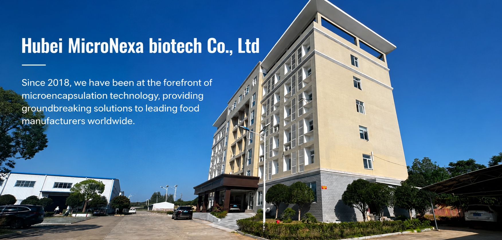 specialized manufacturer of encapsulated food raw materials and additives